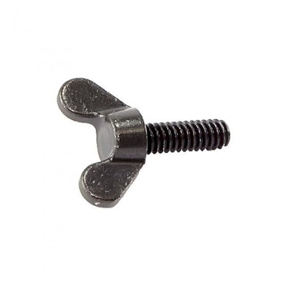 Air cleaner wing screw